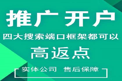 案例分析：SEM推广助力品牌知名度
